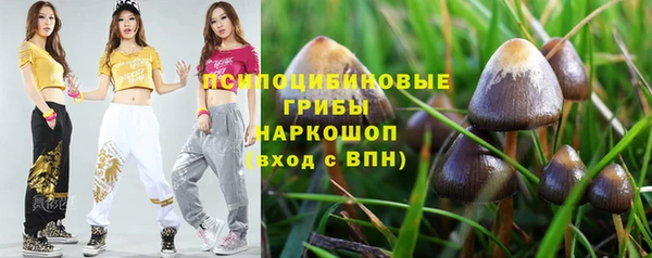 spice Малоархангельск