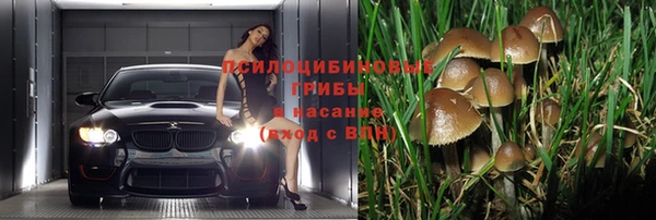 прущая мука Тында
