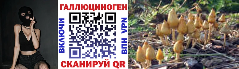 Псилоцибиновые грибы Psilocybe это какой сайт Череповец где найти наркотики KRAKEN ссылка