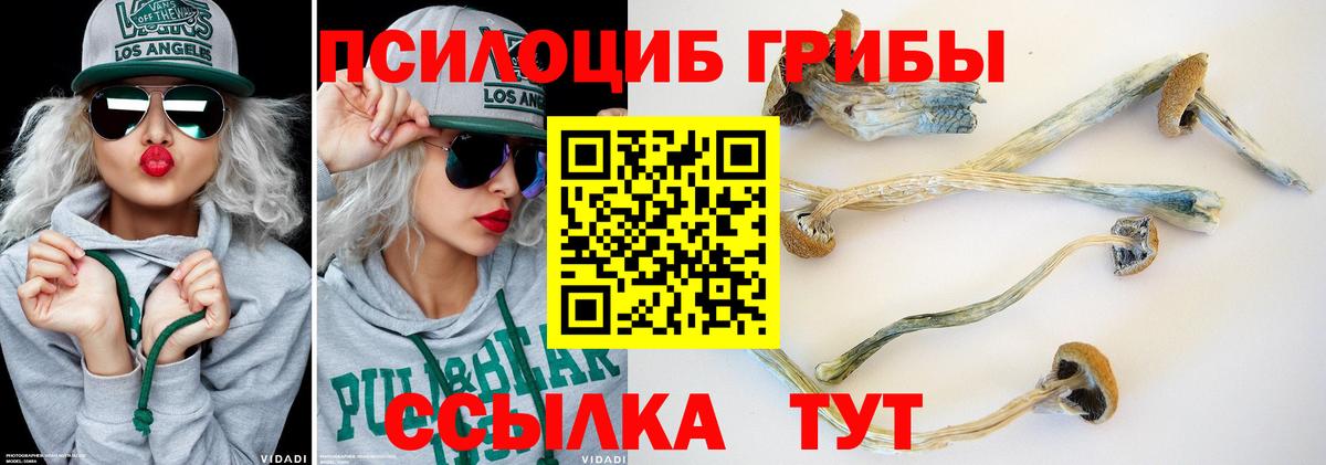 Галлюциногенные грибы мухоморы  Вход с VPN  Череповец 