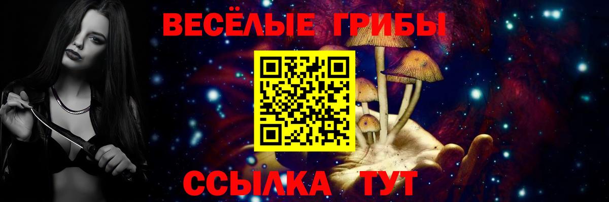 Псилоцибиновые грибы прущие грибы Череповец